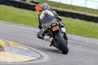 PJ-Motorsport-2019;anglesey-no-limits-trackday;anglesey-photographs;anglesey-trackday-photographs;enduro-digital-images;event-digital-images;eventdigitalimages;no-limits-trackdays;peter-wileman-photography;racing-digital-images;trac-mon;trackday-digital-images;trackday-photos;ty-croes